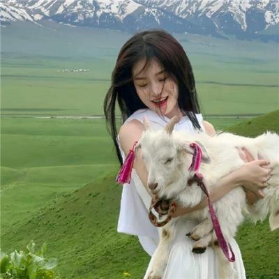 幽游白书